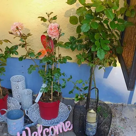 Apartament Tammis Huette